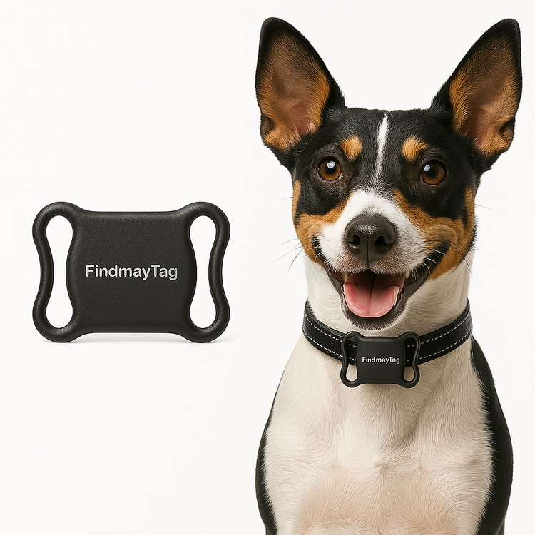 Smart Pet GPS Tracker for Dogs & Cats β Real-Time Tracking, App Connected, Long Battery Life