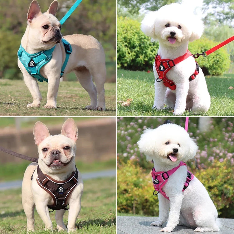 Escape-Proof Cat Harness & Leash β Reflective, Breathable, Adjustable Fit