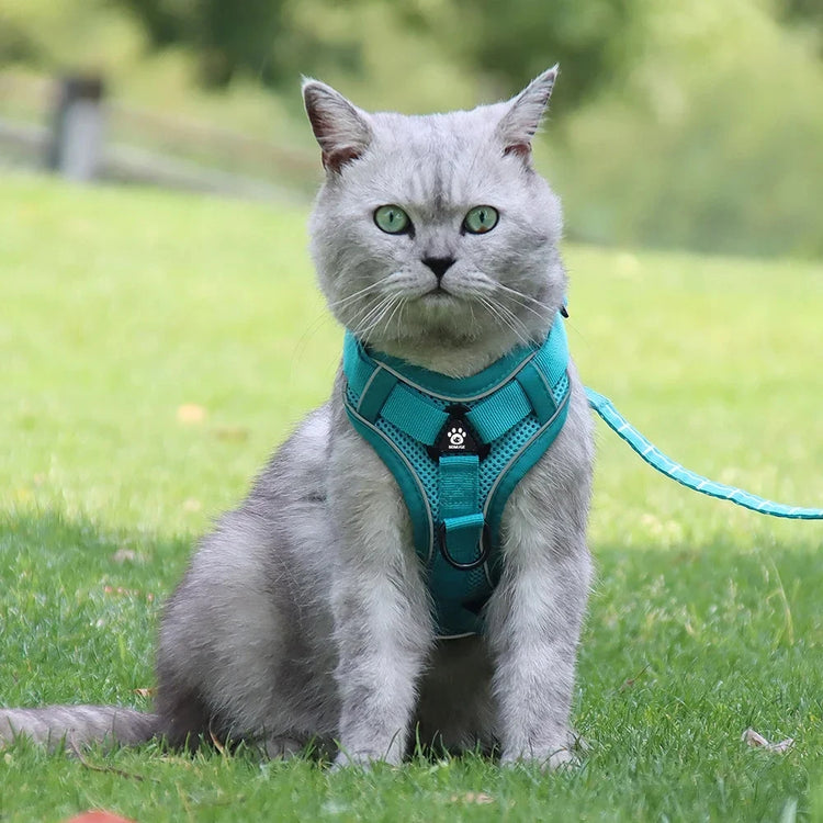 Escape-Proof Cat Harness & Leash β Reflective, Breathable, Adjustable Fit
