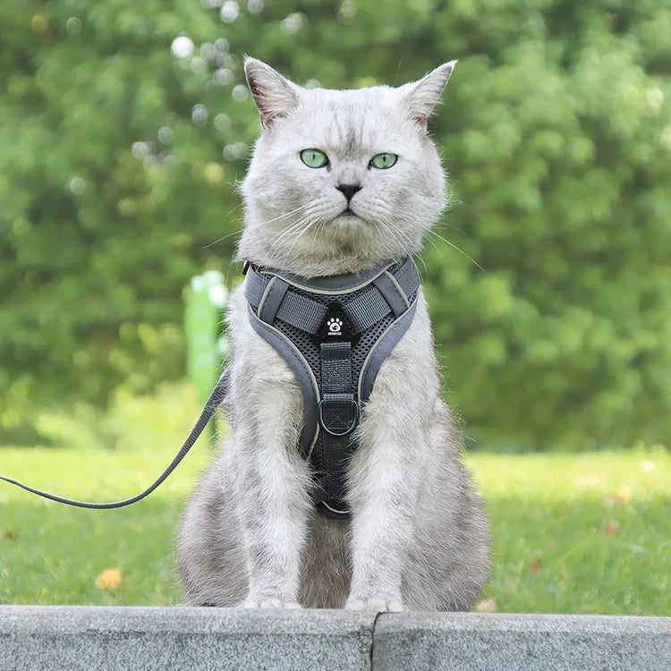 Escape-Proof Cat Harness & Leash β Reflective, Breathable, Adjustable Fit