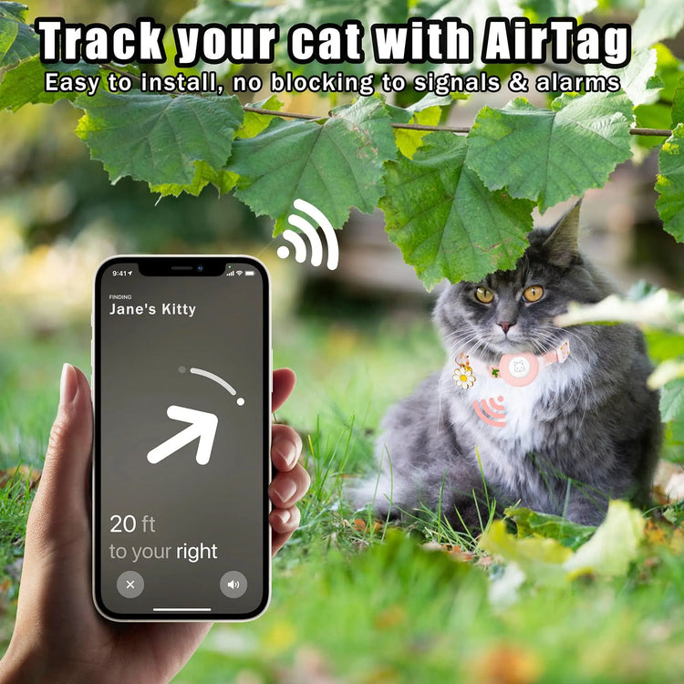 Cat Collar with AirTag Holder – Safe & Cute Design