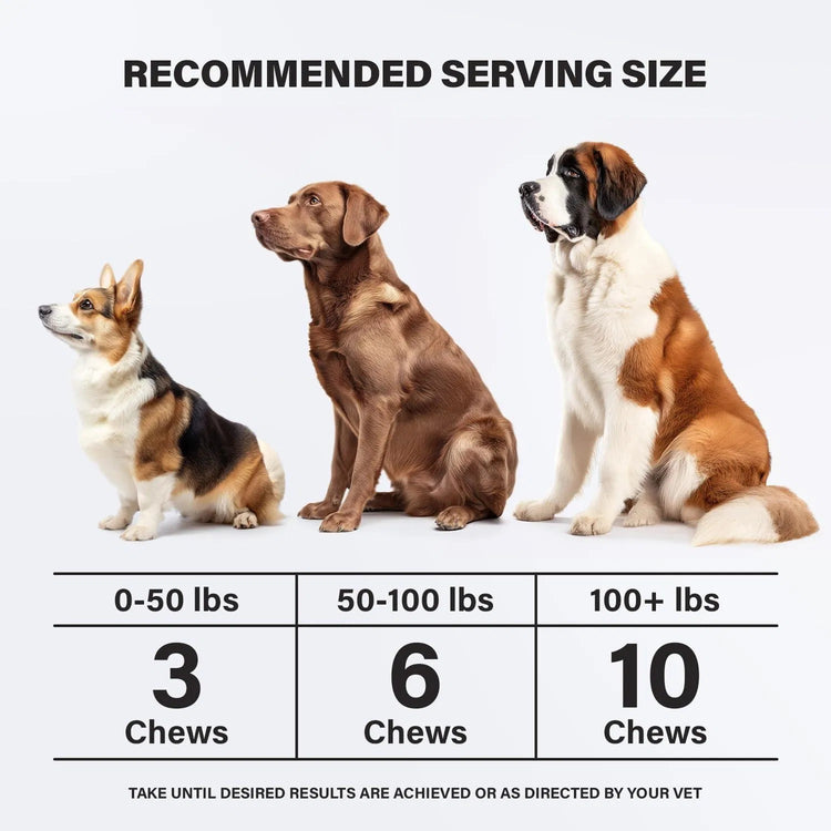 Calming Dog Chews – Natural Stress & Anxiety Relief