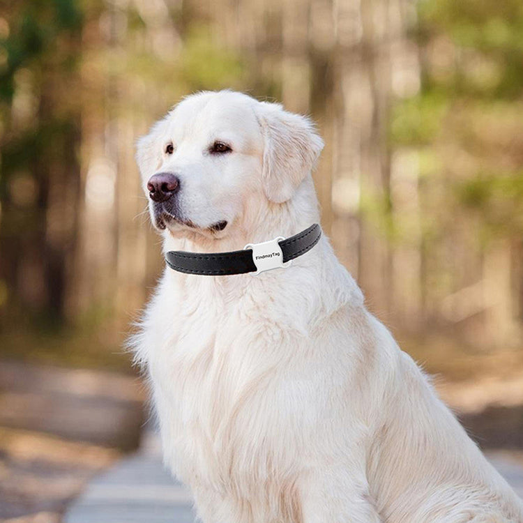 Smart Pet GPS Tracker for Dogs & Cats β Real-Time Tracking, App Connected, Long Battery Life