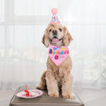 Birthday Bandana – Make Their Special Day Paw-some!
