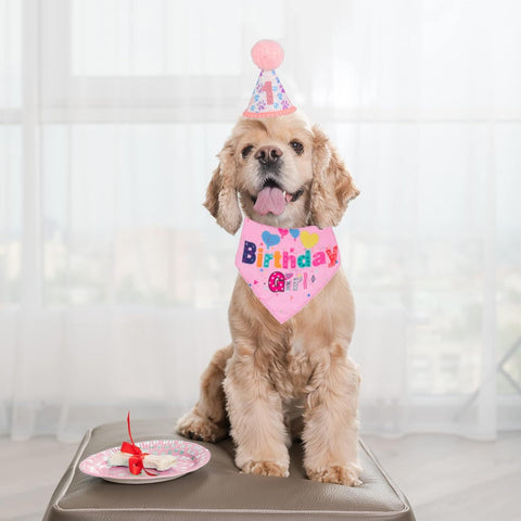 Birthday Bandana – Make Their Special Day Paw-some!