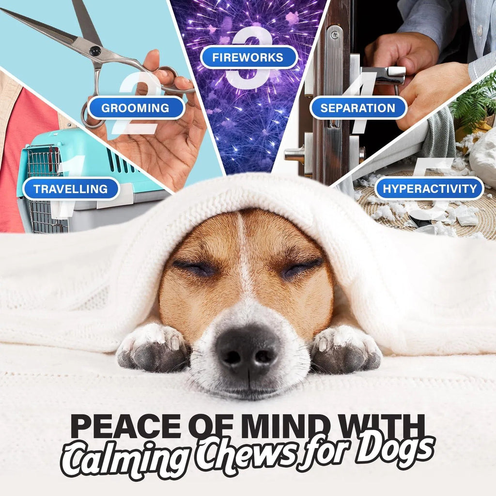 Calming Dog Chews – Natural Stress & Anxiety Relief