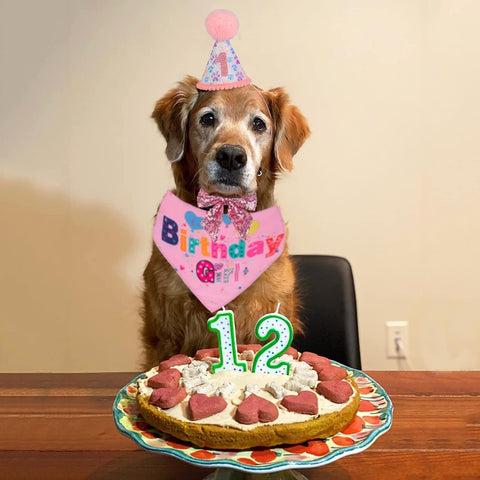 Birthday Bandana – Make Their Special Day Paw-some!