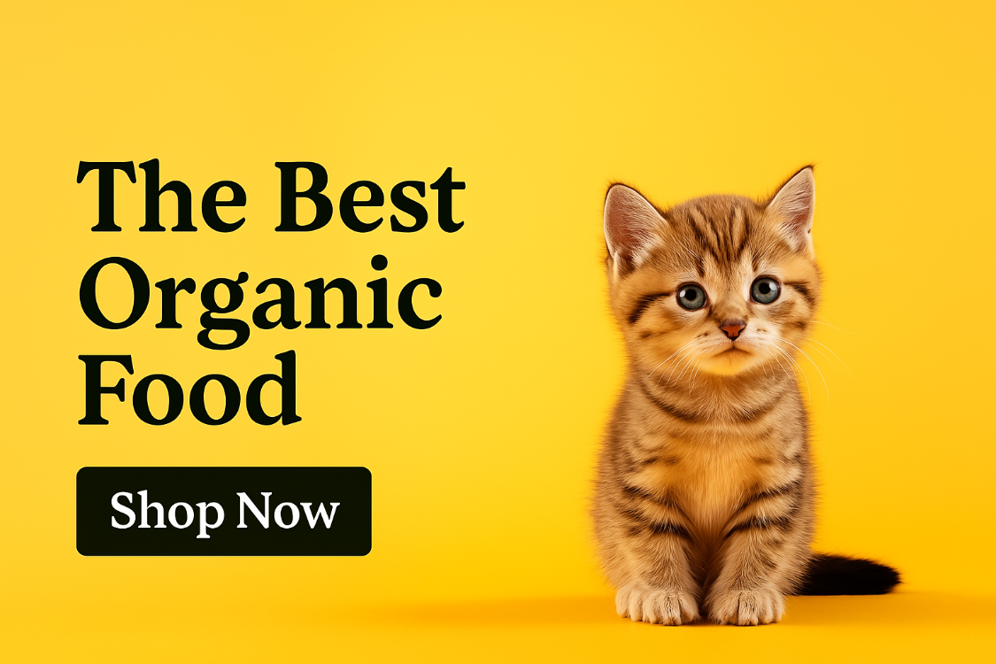 Our In-home Pet Care Service