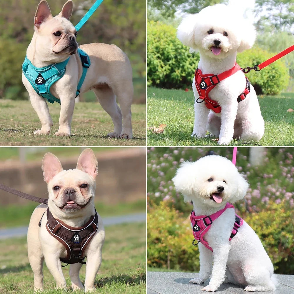 Escape-Proof Cat Harness & Leash – Reflective, Breathable, Adjustable Fit