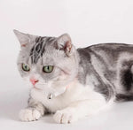 Smart LED Laser Cat Toy – USB Rechargeable Interactive Play