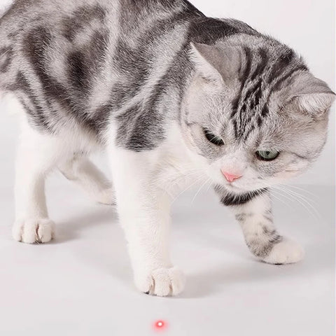 Smart LED Laser Cat Toy – USB Rechargeable Interactive Play