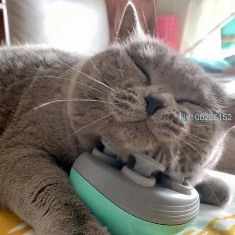 Electric Cat Massager – Deep Tissue Head & Neck Scratcher for Stress Relief and Relaxation